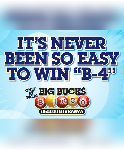 Big-Bucks-Bingo-Banners